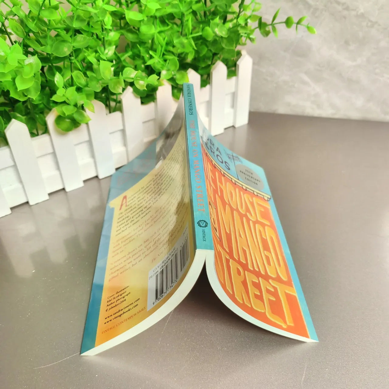 The House on Mango Street by Sandra Cisneros – Vintage 2007 Edition English Book