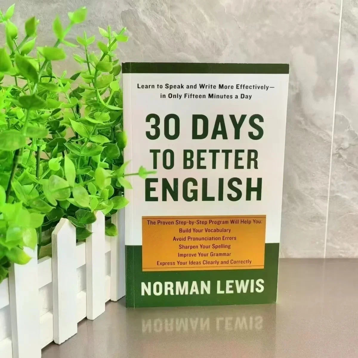 Word Power Made Easy / 30 Days to Better English / Instant Word Power by Norman Lewis – English Learning Book Set