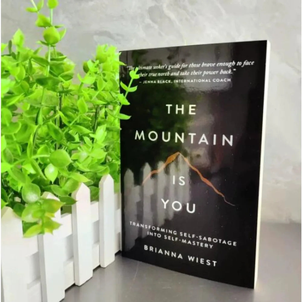 The Mountain Is You – Turning Self-Destruction into Self-Mastery English Book