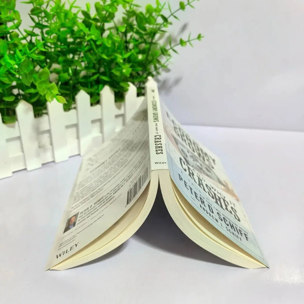 How an Economy Grows and Why It Crashes – English Paperback Economics Book