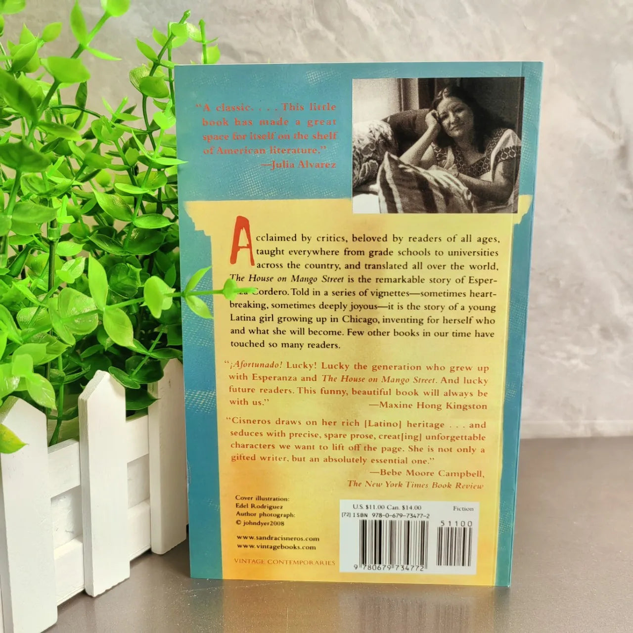 The House on Mango Street by Sandra Cisneros – Vintage 2007 Edition English Book