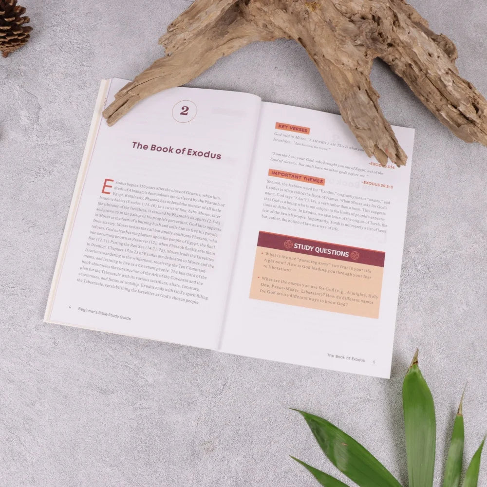 The Beginner’s Bible Study Guide – Introduction to All 66 Books of the Bible