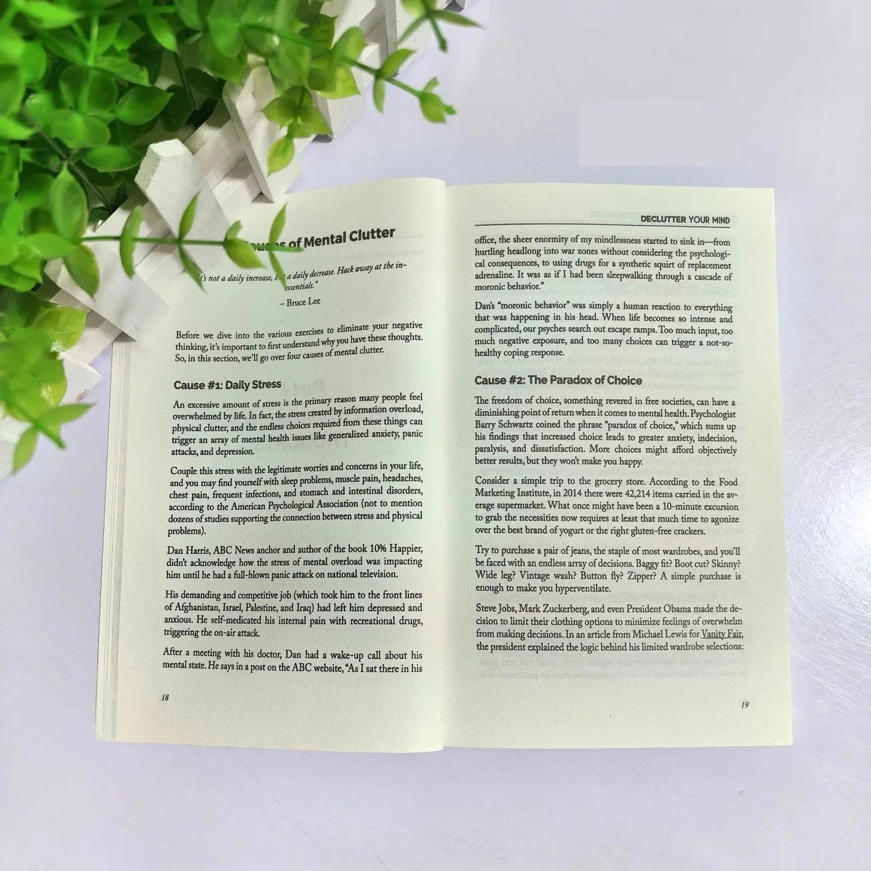 Declutter Your Mind – How to Stop Worrying, Relieve Anxiety & Eliminate Negative Thinking Book