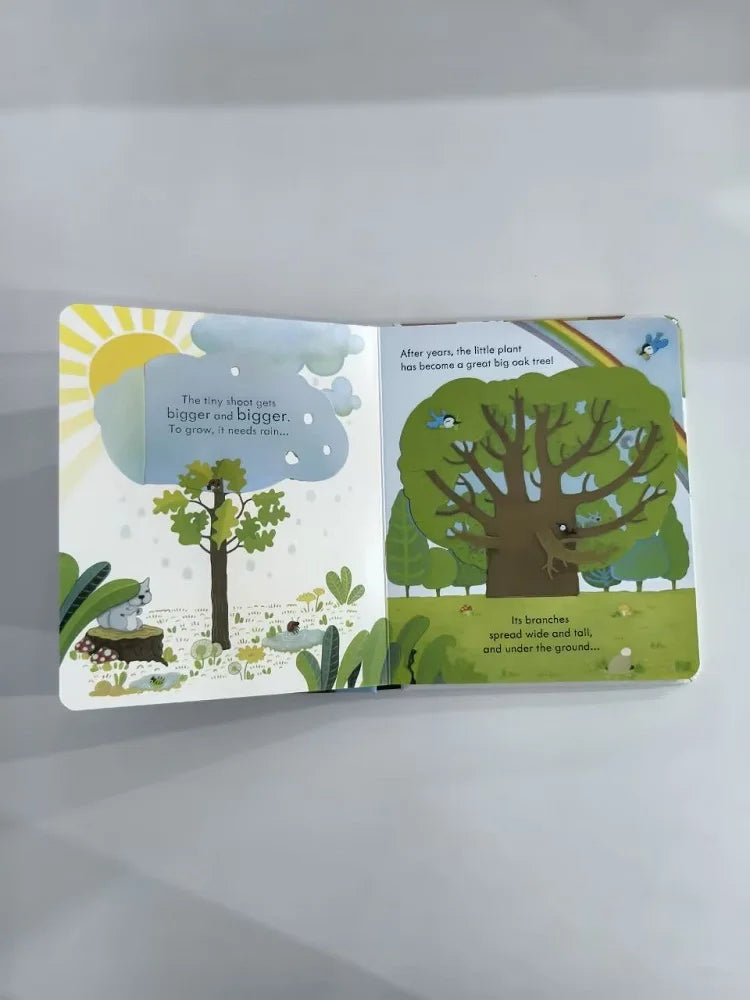 Usborne Peep Inside a Tree – Educational 3D Lift-the-Flap English Picture Book for Children