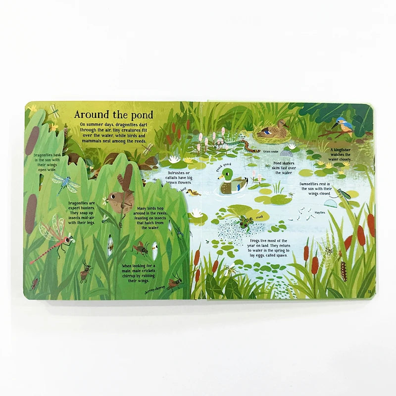 Usborne Look Inside Nature – Children’s Educational Science Book on Animals & Plants