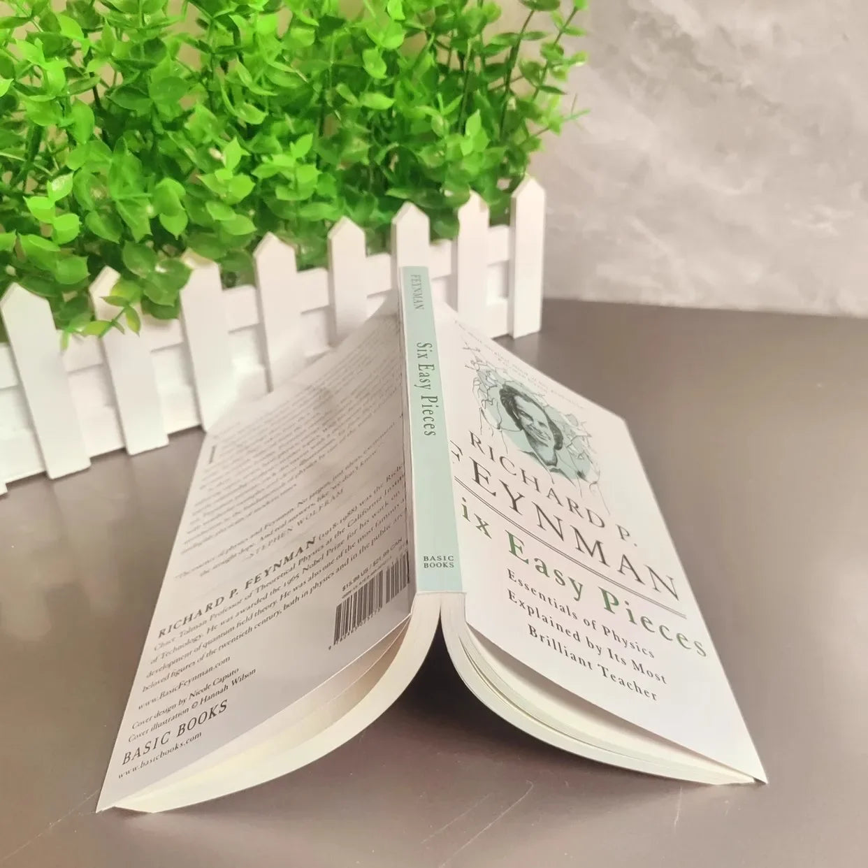 Six Easy Pieces by Richard Feynman – Essential Physics Explained English Learning Book