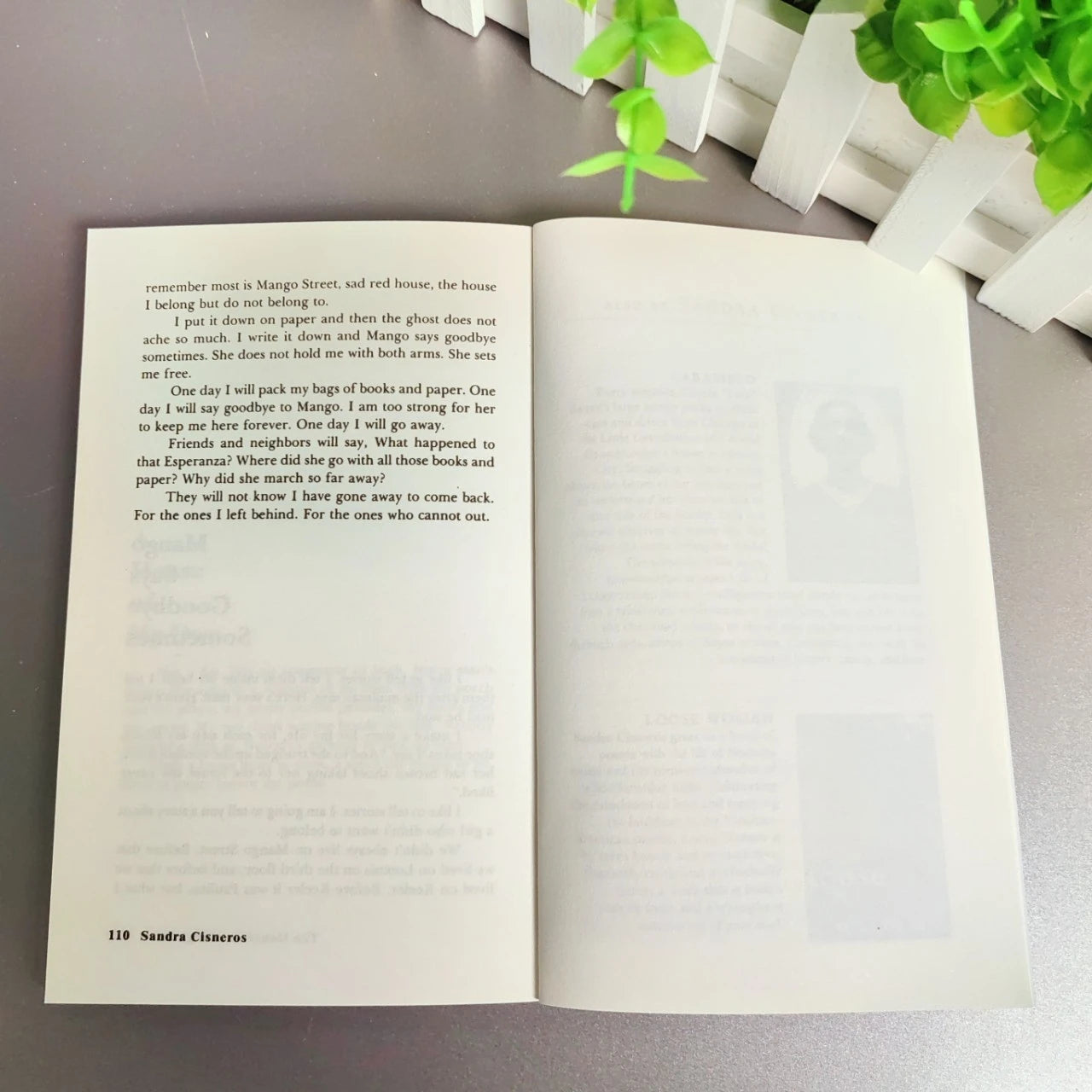 The House on Mango Street by Sandra Cisneros – Vintage 2007 Edition English Book