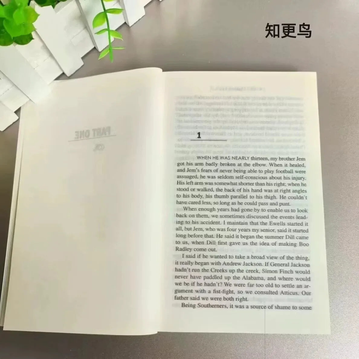 To Kill a Mockingbird – Classic English Novel for Students