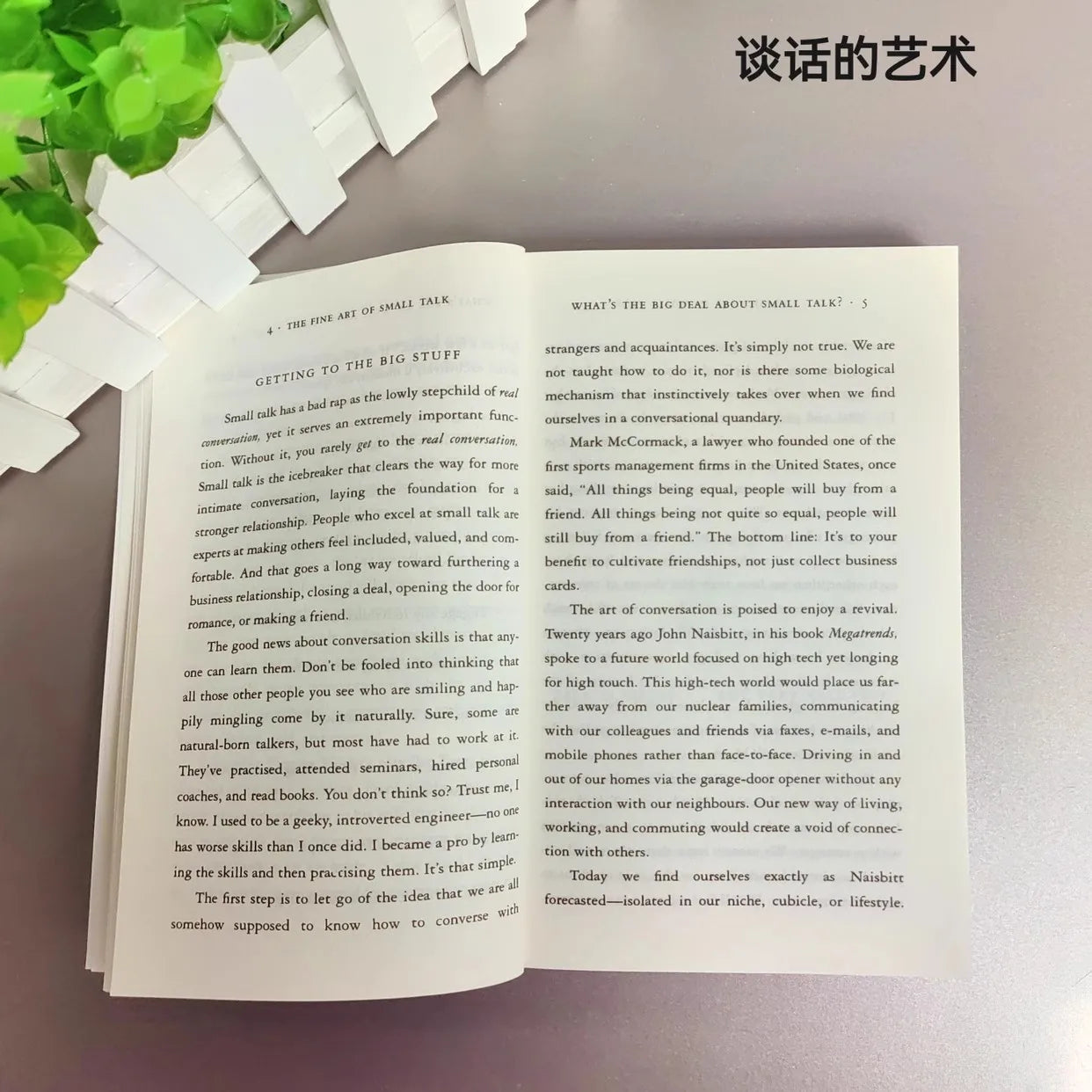 The Fine Art of Small Talk by Debra Fine – How to Start Conversations English Paperback Book