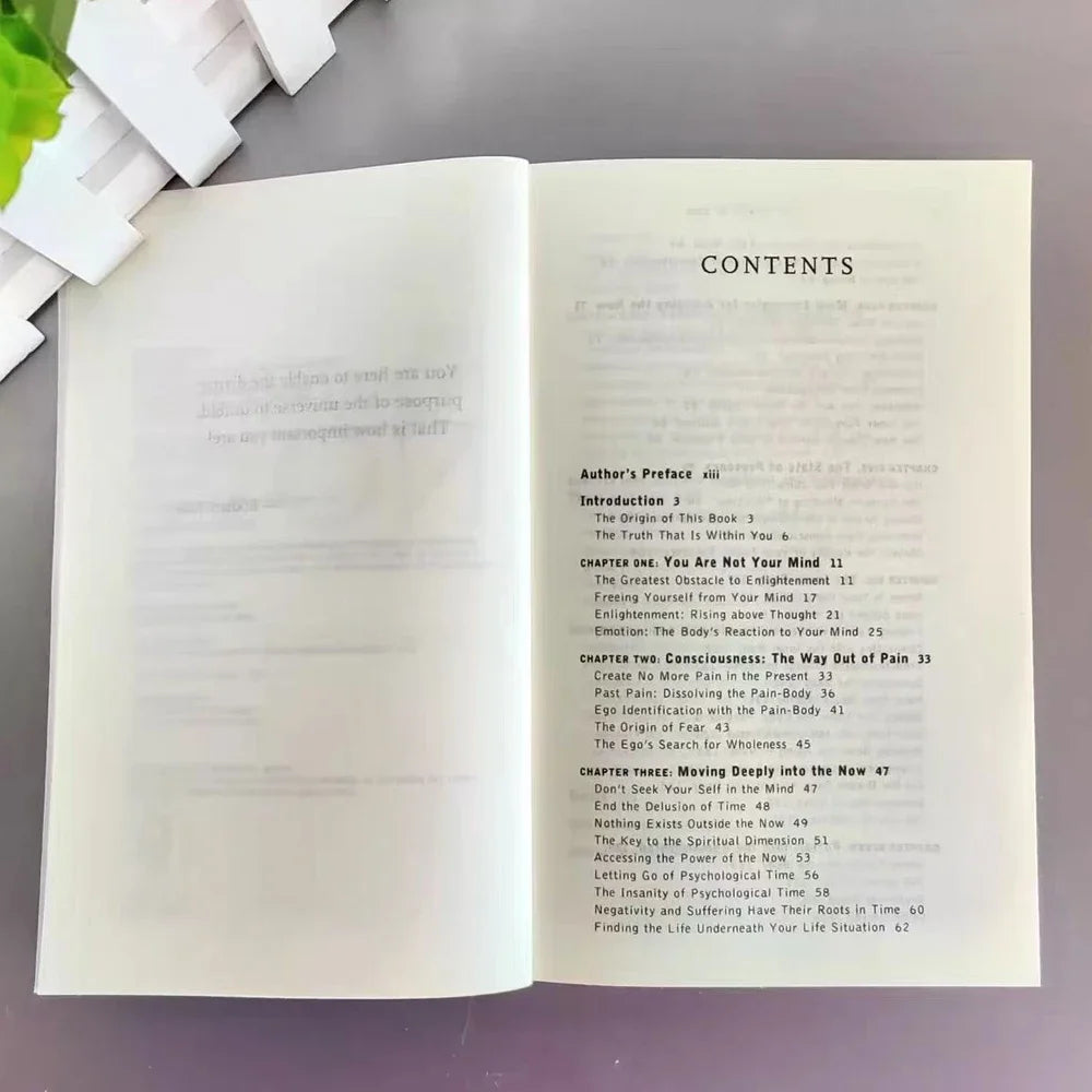 The Power of Now by Eckhart Tolle – Guide to Spiritual Enlightenment English Book