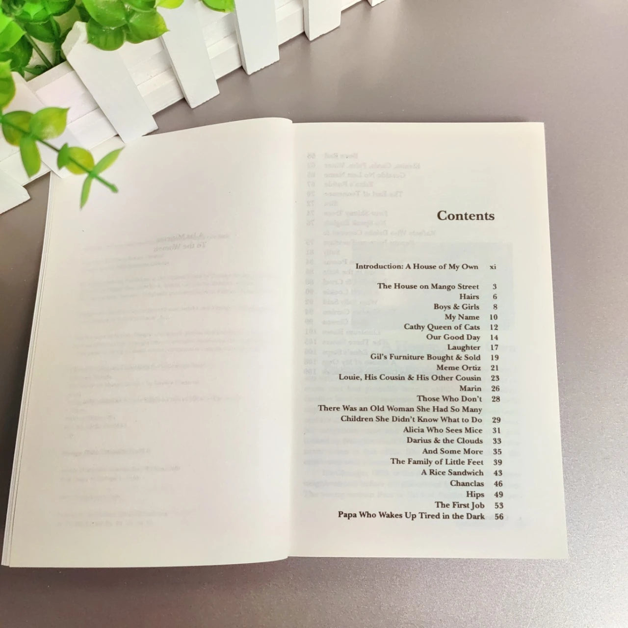 The House on Mango Street by Sandra Cisneros – Vintage 2007 Edition English Book